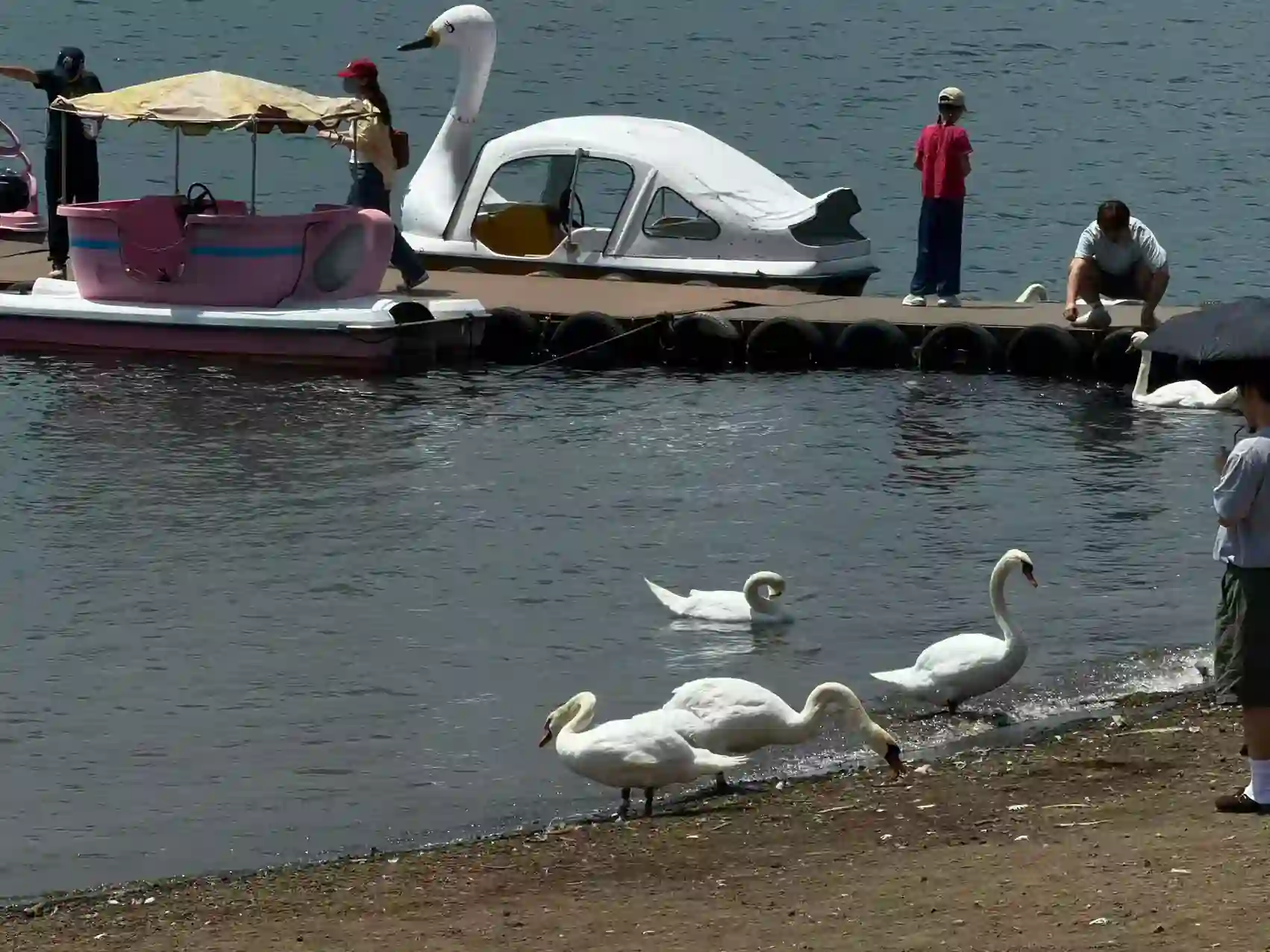 河口湖湖畔风光